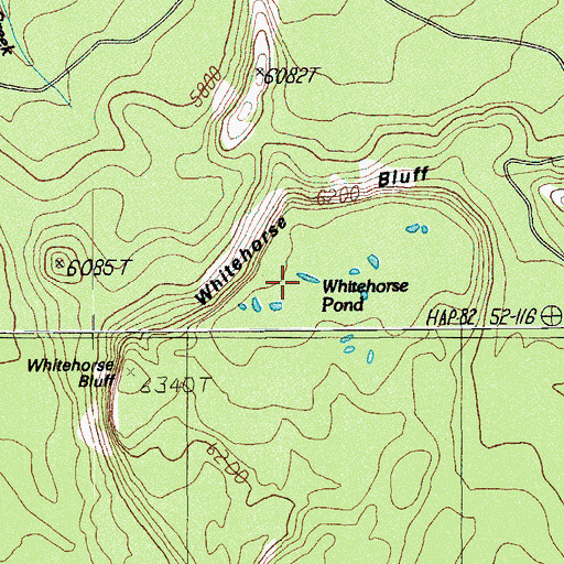 Topographic Map of Whitehorse Pond, OR