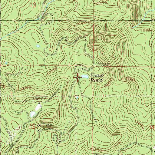 Topographic Map of Foster Pond, OR
