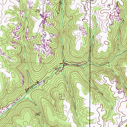 Topographic Map of Camp Branch, AL