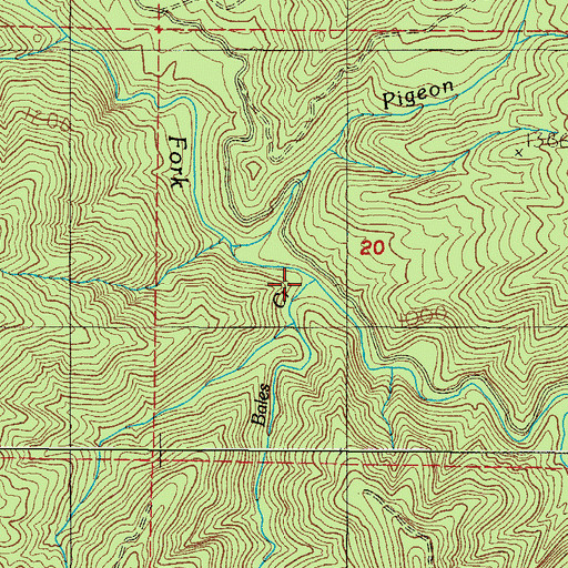 Topographic Map of Bales Creek, OR