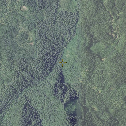Aerial/Satellite Image of East Fork Drew Creek, OR