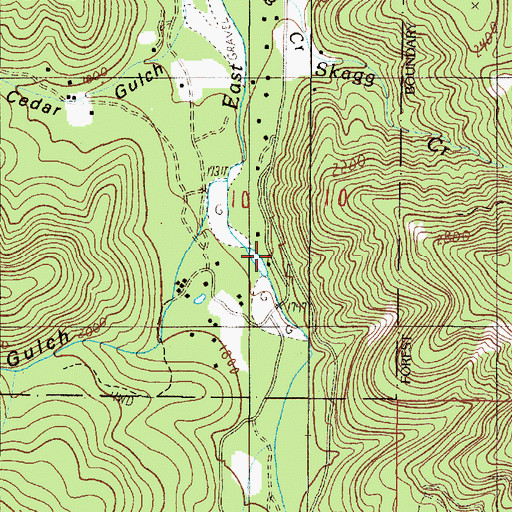 Topographic Map of Brown City (historical), OR