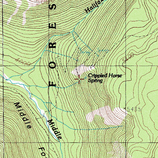 Topographic Map of Crippled Horse Spring, OR
