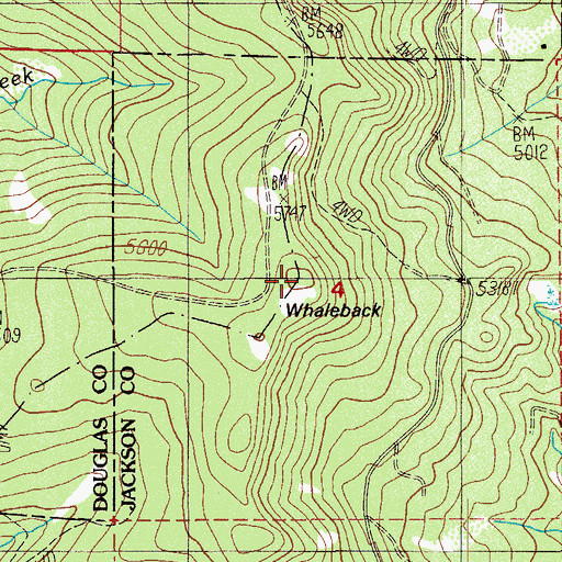 Topographic Map of Whaleback, OR
