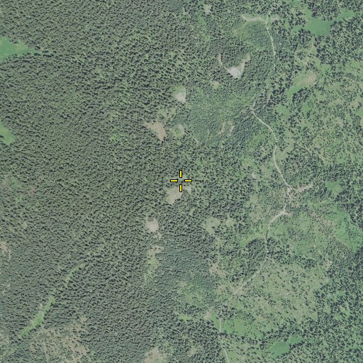 Aerial/Satellite Image of Whaleback, OR