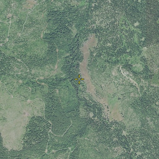 Aerial/Satellite Image of Walch Creek, OR