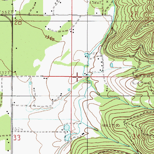 Topographic Map of Peterson Gulch, OR