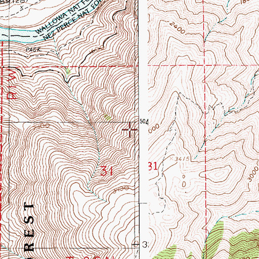 Topographic Map of Hells Canyon National Recreation Area, OR