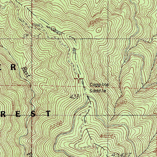 Topographic Map of Coggins Saddle, OR