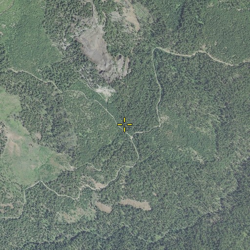 Aerial/Satellite Image of Buster Spring, OR