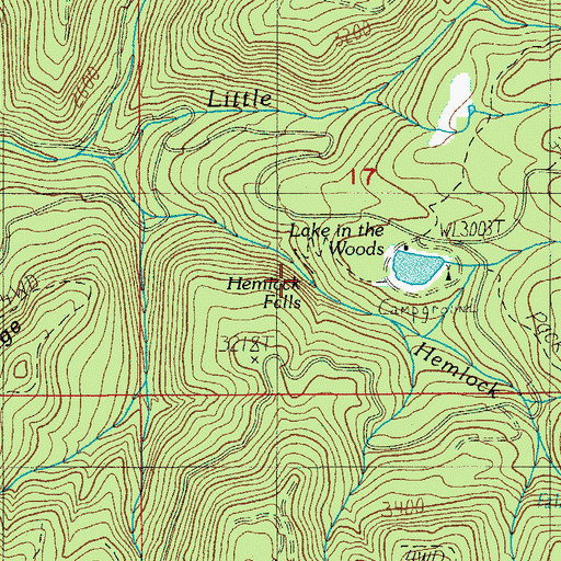 Topographic Map of Lake in the Woods Recreation Site, OR