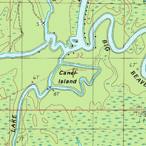 Topographic Map of Canal Island, AL