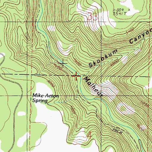 Topographic Map of Skookum Creek, OR