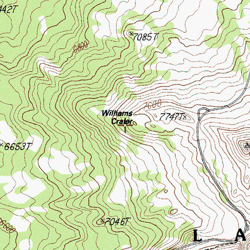 Topographic Map of Williams Crater, OR