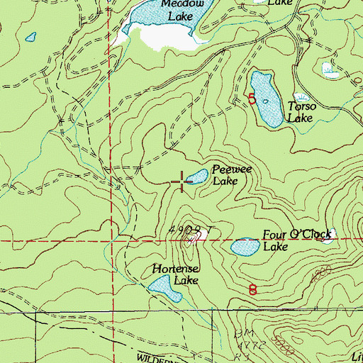 Topographic Map of Peewee Lake, OR