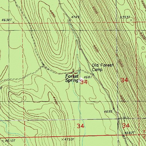 Topographic Map of Forest Spring, OR