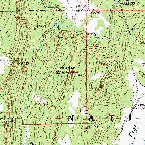 Topographic Map of Borrow Reservoir, OR