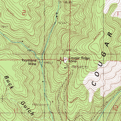 Topographic Map of Cougar Ridge Mine, OR