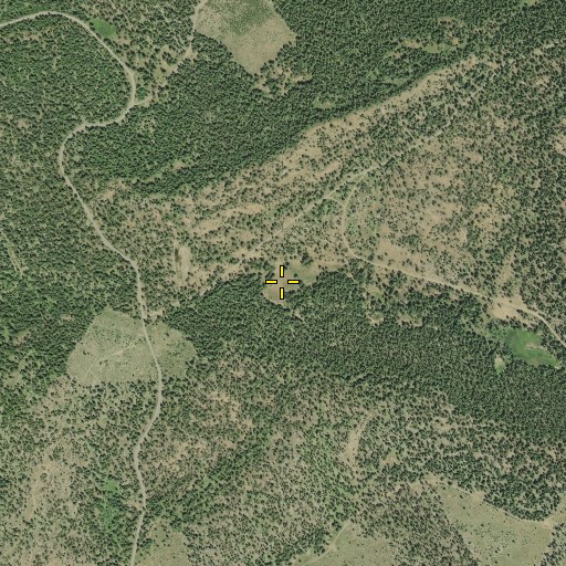 Aerial/Satellite Image of Lehman Meadow, OR