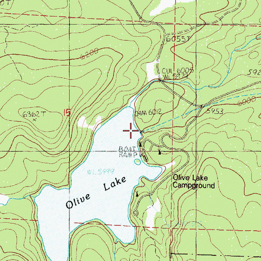 Topographic Map of Olive Lake Dam, OR