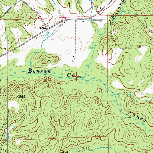 Topographic Map of Caney Branch, AL