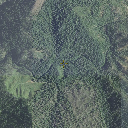 Aerial/Satellite Image of Dasher Meadow, OR