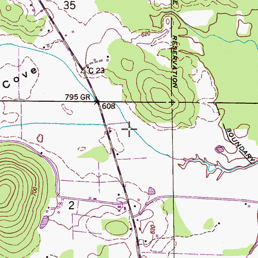 Topographic Map of Caney Cove, AL