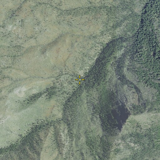 Aerial/Satellite Image of Sizeable Stream, OR