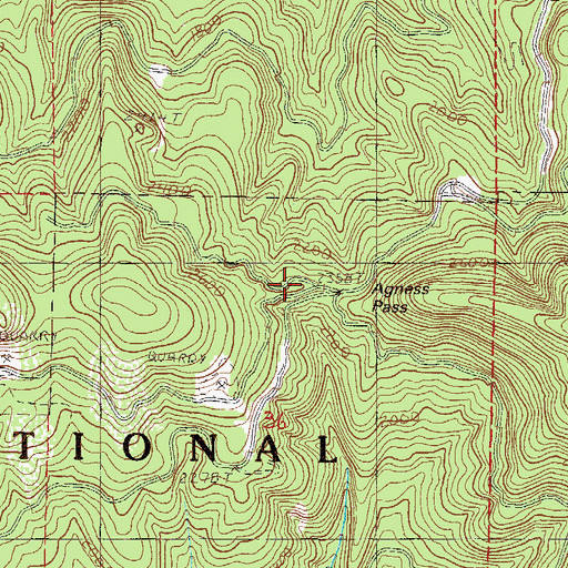 Topographic Map of Agness Pass, OR