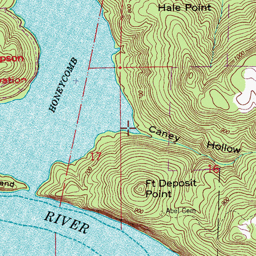 Topographic Map of Caney Hollow, AL