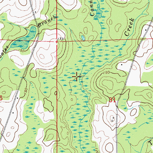 Topographic Map of Cannon Branch, FL