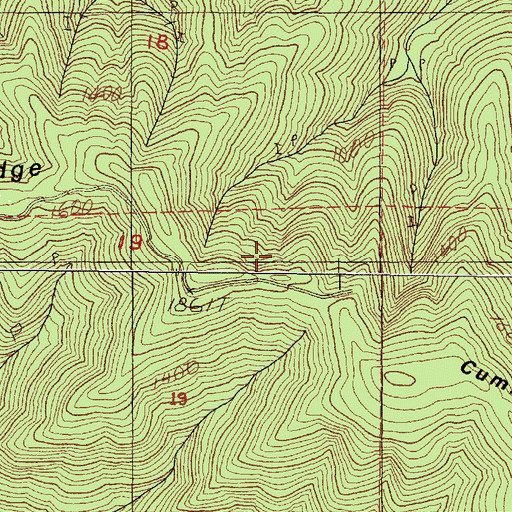 Topographic Map of Cummins Creek Wilderness, OR