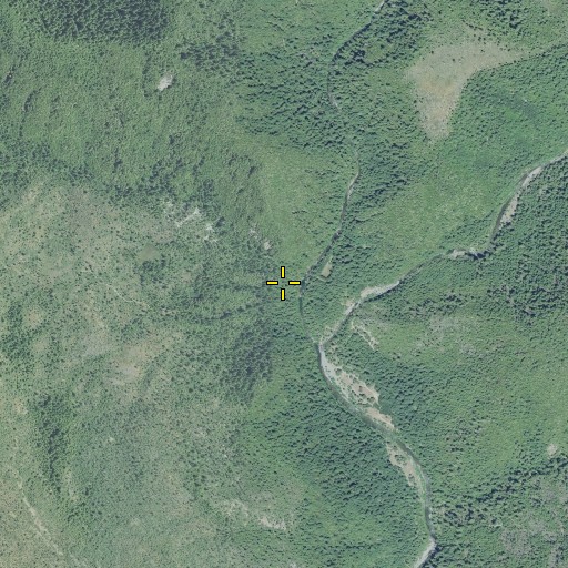 Aerial/Satellite Image of Pack Saddle Gulch, OR