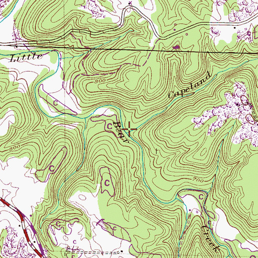 Topographic Map of Capeland Branch, AL