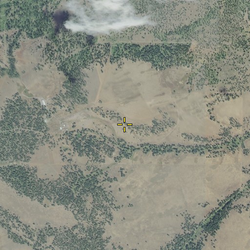 Aerial/Satellite Image of Research Corrals, OR