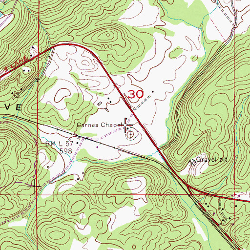 Topographic Map of Carnes Chapel Congregational Methodist Church, AL