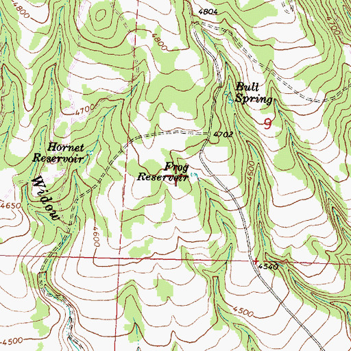 Topographic Map of Frog Spring, OR