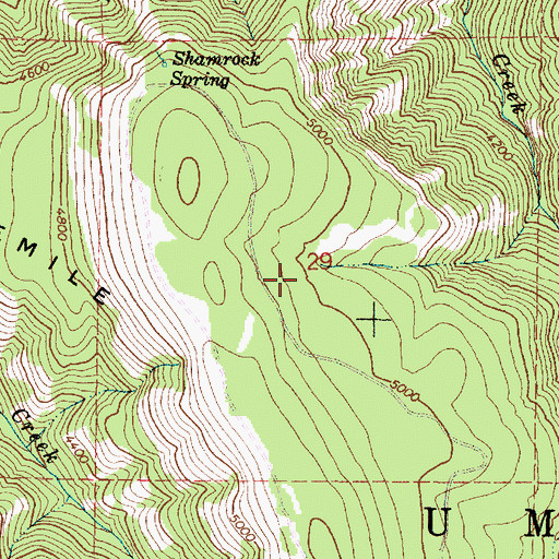 Topographic Map of Indian Spring, OR