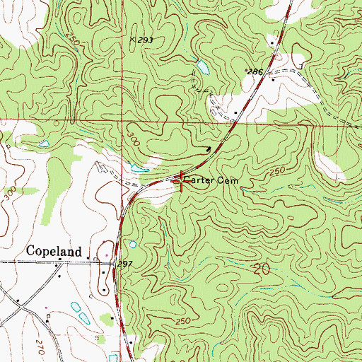 Topographic Map of Carter Cemetery, AL