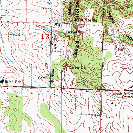 Topographic Map of Carter Cemetery, AL