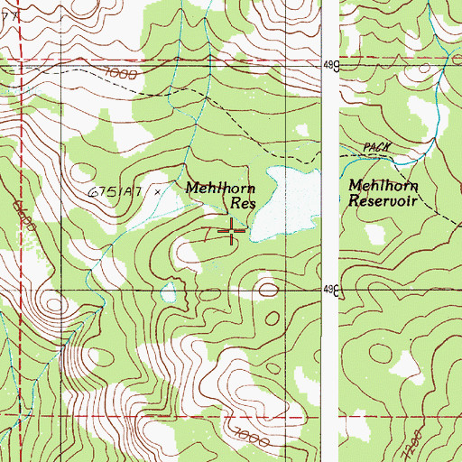 Topographic Map of Mehlhorn-Bassett Dam, OR