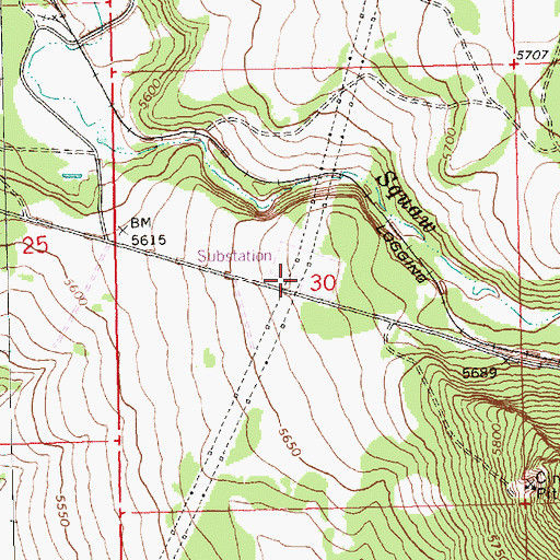 Topographic Map of Sycan Capacitor Station, OR