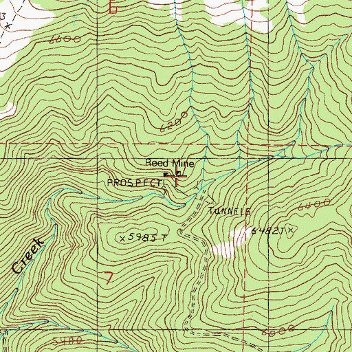 Topographic Map of Reed Mine, OR