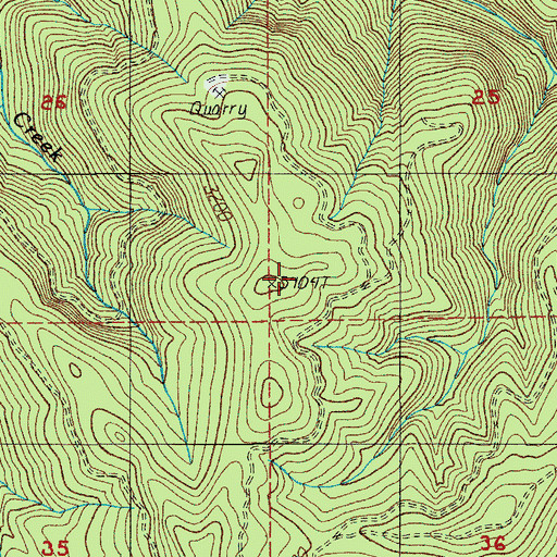 Topographic Map of Doris Ridge, OR