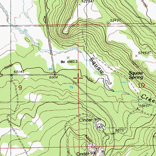 Topographic Map of Squaw Spring Corral, OR