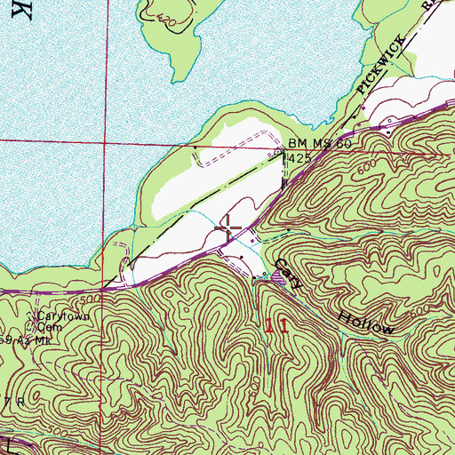 Topographic Map of Cary Hollow, AL
