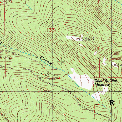Topographic Map of Dead Soldier Camp, OR