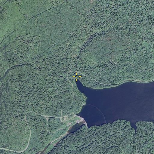 Aerial/Satellite Image of Bear Creek, OR