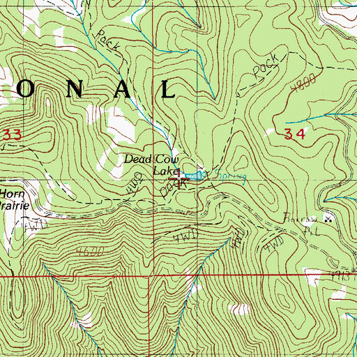 Topographic Map of Dead Cow Lake, OR