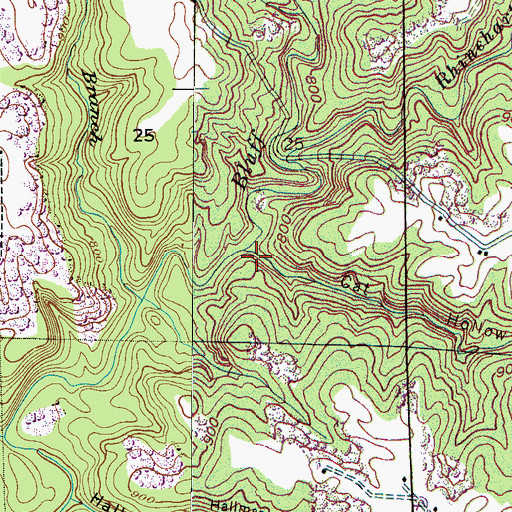 Topographic Map of Cat Hollow, AL